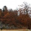 20101030_279